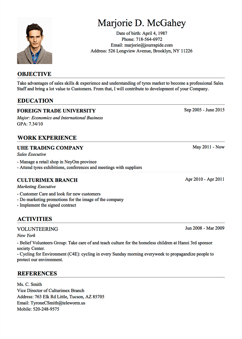 Professional CV Example